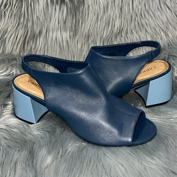 Anthropologie Carrano Kennedi Leather Chunky Heel Sandals in Blue Sz. 10