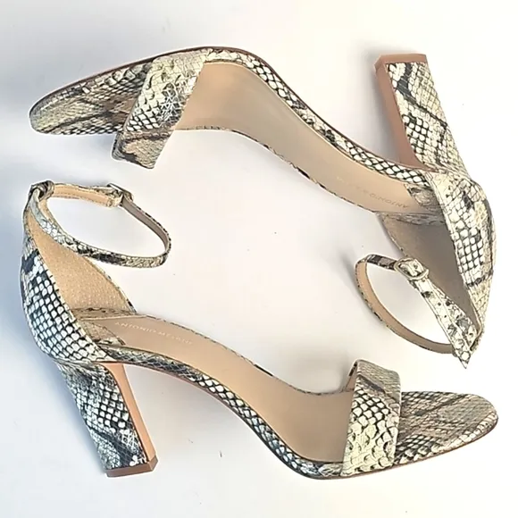 Antonio Melani Stacen Leather Snake Print Ankle Strap Block Heel Sandal …