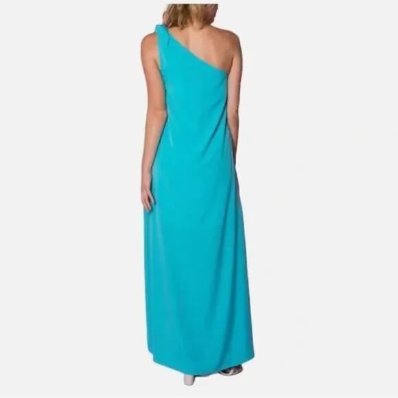 Crosby by Mollie Burch Sasha Maxi Dress in Turquoise NWT 4