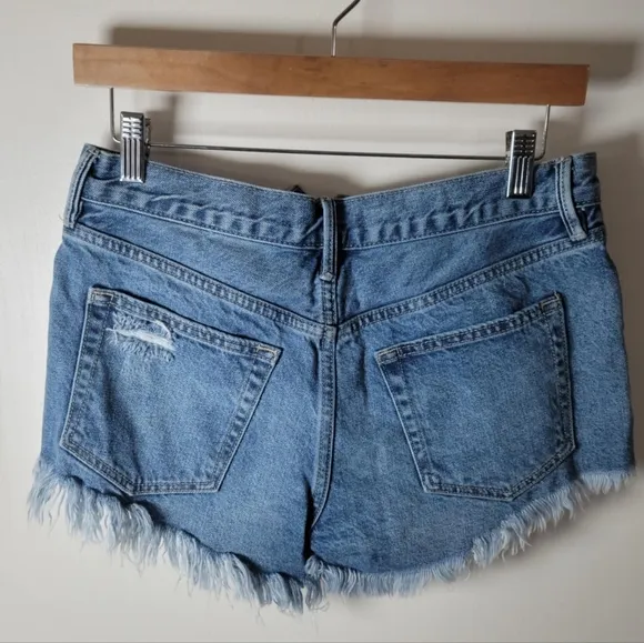We The Free Free People Button Fly Distressed Denim Shorts | Size 25